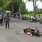 Tabrakan Bus dan Sepeda Motor di Jember, 1 Orang Tewas (Sumber foto: Istimewa)