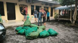 Barang bukti yang diamankan polisi (Sumber foto: Istimewa)