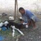 Foto anak sapi berkaki 6 dan Sukirman Pemilik Sapi (Sumber foto: Istimewa)