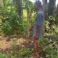 Tempat Anak Sapi Berkaki 6 Dikuburan (Sumber foto: Sigit Gita Pamuji)