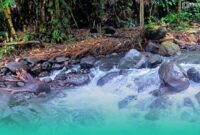 Gambar Air Sungai Bersih Timbreng Ulu (Sumber: Istimewa)