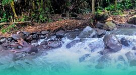 Gambar Air Sungai Bersih Timbreng Ulu (Sumber: Istimewa)