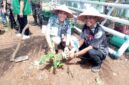 Camat Umbulsari (kanan) bersama Kades Tegalwangi (kiri) menanam pisang Cavendish dalam rangka ketahanan pangan