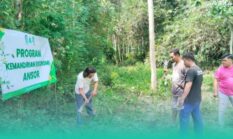 Mewujudkan Kemandirian Ekonomi, PAC GP Ansor Kencong Menanam Pisang Cavendis