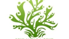 Logo Brulantara Group (Sumber foto: istimewa)