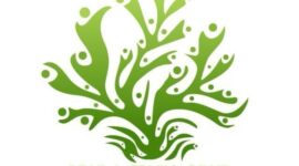 Logo Brulantara Group (Sumber foto: istimewa)