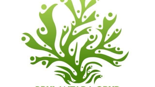 Logo Brulantara Group (Sumber foto: istimewa)