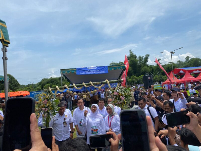 Gubernur Jatim dan Bupati Jember saat di acara penyelenggaraan inseminasi buatan di City Forest Jember. (Foto: Frensia/Sigit)