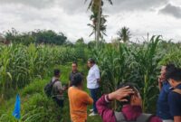 Komisi C DPRD Jember saat melakukan sidak ke saluran irigasi. (Sumber foto: isttimewa)