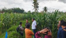 Komisi C DPRD Jember saat melakukan sidak ke saluran irigasi. (Sumber foto: isttimewa)