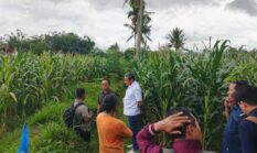 Pengembangan Perumahan di Jember Bikin Saluran Irigasi Pertanian Tertutup