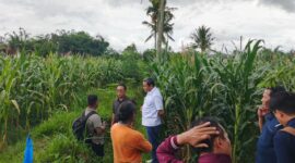 Komisi C DPRD Jember saat melakukan sidak ke saluran irigasi. (Sumber foto: isttimewa)