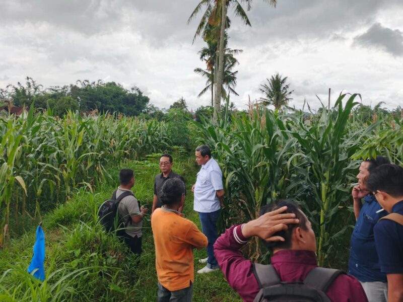 Komisi C DPRD Jember saat melakukan sidak ke saluran irigasi. (Sumber foto: isttimewa)