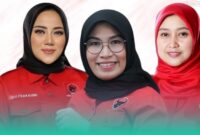 Gambar Ana Aniaty Pimpin DPC PDI Perjuangan Banyuwangi! 3 Perempuan Pejuang Jadi KSB (Sumber: Grafis Frensia) 