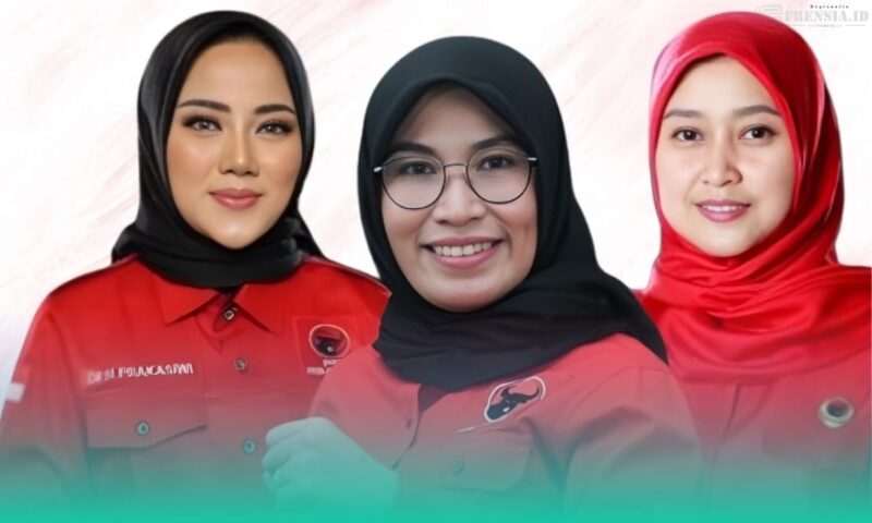 Gambar Ana Aniaty Pimpin DPC PDI Perjuangan Banyuwangi! 3 Perempuan Pejuang Jadi KSB (Sumber: Grafis Frensia) 