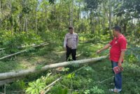 Polisi saat melakukan olah TKP (Foto: Istimewa)