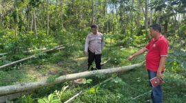 Polisi saat melakukan olah TKP (Foto: Istimewa)