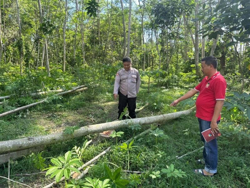 Polisi saat melakukan olah TKP (Foto: Istimewa)