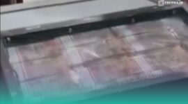 Foto: Tangkapan layar dari sosial media.