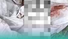 Foto: Tangkapan layar video.