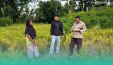 Polisi saat melakukan olah TKP. (Foto: Istimewa).