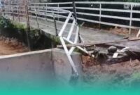 Foto: Tangkapan layar dari sosial media.