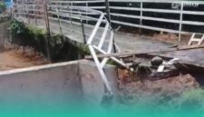 Foto: Tangkapan layar dari sosial media.