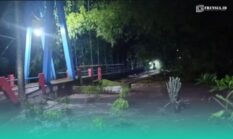 Hujan Deras, Air Sungai Meluap Sebabkan Putusnya Jembatan Gantung di Jember