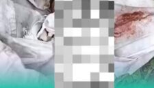 Foto: Tangkapan layar video.