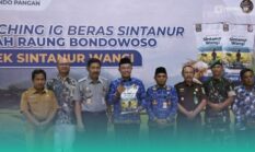 Pemkab Bondowoso Launching Indikasi Geografis Beras Sintanur Lembah Raung