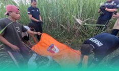 Kakek di Jember Ditemukan Tewas di Kebun Tebu