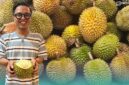 Gambar Ahmad Ilyas memegang durian lokal Jember (Sumber: Ronven Apriani)