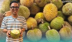 Durian Lokal Jember Naik Kelas! Riset Ungkap Potensi Varietas Eksklusif di Lereng Argopuro dan Raung