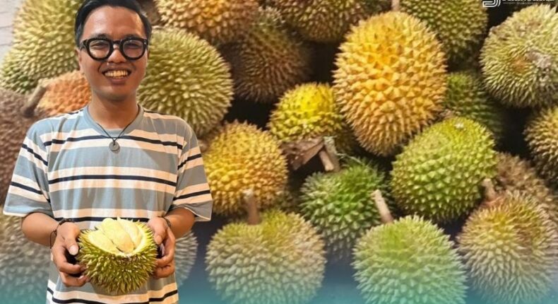 foto slider headline