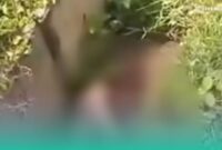 Foto: Tangkapan Layar dari Media Sosial.