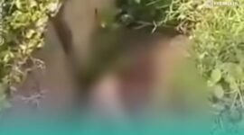 Foto: Tangkapan Layar dari Media Sosial.