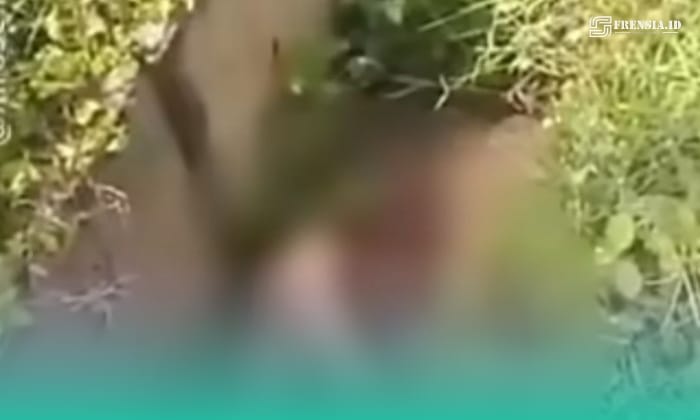 Foto: Tangkapan Layar dari Media Sosial.