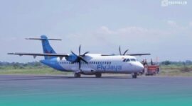 Pesawat Fly Jaya (Foto: Istimewa).