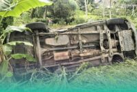 Penampakan Mobil yang Tabrak Pohon (Foto: Istimewa).