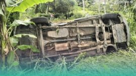 Penampakan Mobil yang Tabrak Pohon (Foto: Istimewa).