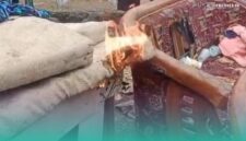 Foto: Tangkapan layar dari media sosial.