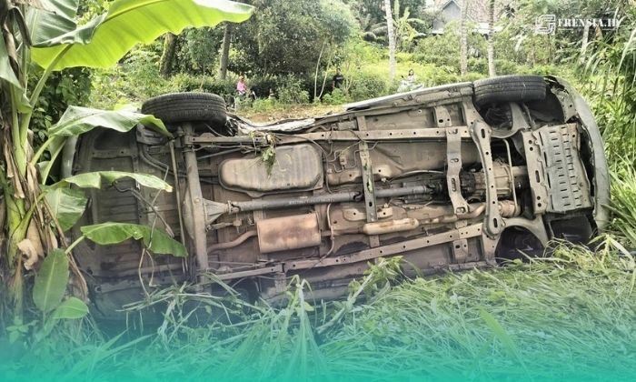 Penampakan Mobil yang Tabrak Pohon (Foto: Istimewa).