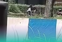 Foto: Tangkapan layar dari postingan video akun Instagram @aslijembermat. 