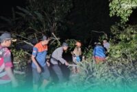 BPBD Jember saat sedang membersihkan pohon yang tumbang. (Foto: Istimewa). 