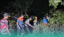 BPBD Jember saat sedang membersihkan pohon yang tumbang. (Foto: Istimewa). 