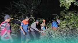 BPBD Jember saat sedang membersihkan pohon yang tumbang. (Foto: Istimewa). 