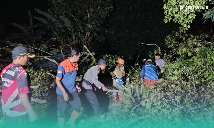 BPBD Jember saat sedang membersihkan pohon yang tumbang. (Foto: Istimewa). 