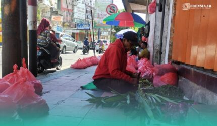 Mashudi, warga Desa Karangpring, Kecamatan Sukorambi, Jember, sedang memotong daun pandan (Foto: Fadli/Frensia).