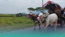 Pegon saat arak-arakan dari Balai Desa Sumberejo menuju Pantai Watu Ulo (Foto: Fadli/Frensia).