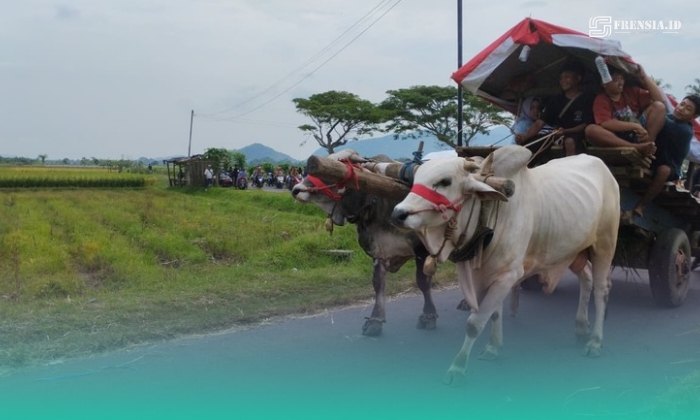 Pegon saat arak-arakan dari Balai Desa Sumberejo menuju Pantai Watu Ulo (Foto: Fadli/Frensia).